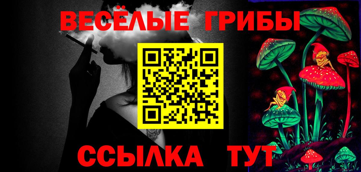 Семилуки  Галлюциногенные грибы прущие грибы  Вход с VPN 