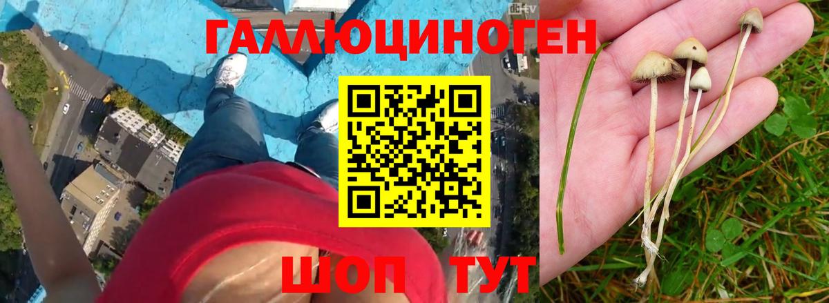 Сколько стоит  КОКАИН  Вход с VPN  ГАШ  МЕТАДОН  Семилуки  Гашиш  Конопля  Мефедрон кристаллы  Экстази 