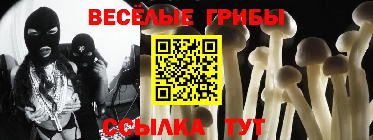 Галлюциногенные грибы Psilocybe Семилуки